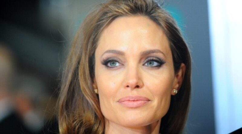 Angelina Jolie Net Worth 2020 – Life, Career, Earnings